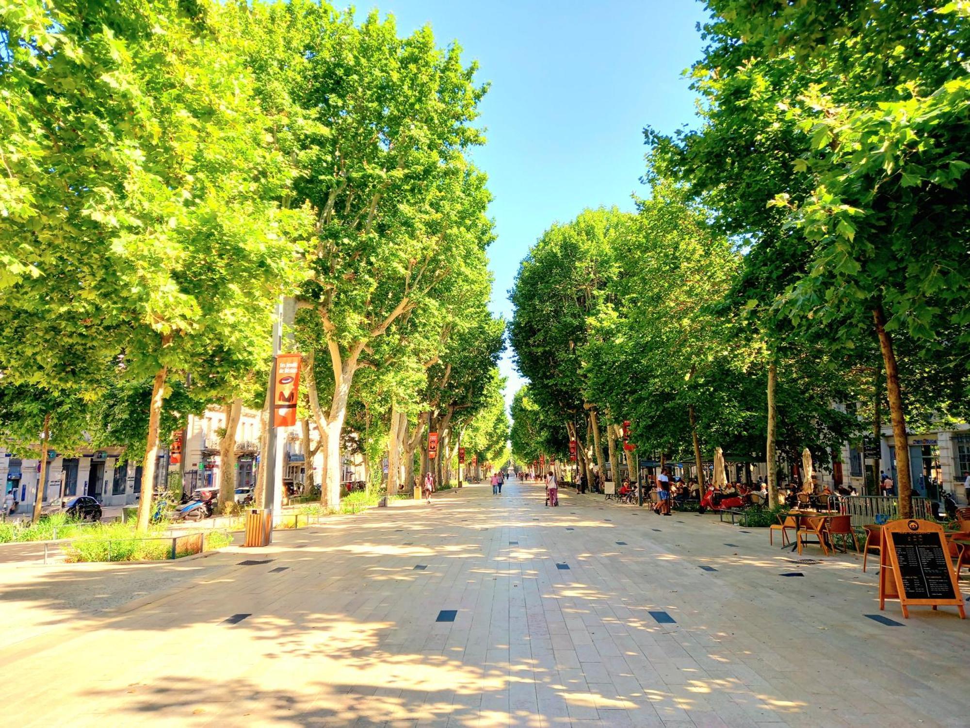 T2 Cathedrale & Torre Ventosa - Central - Clim - Wifi - Balcon - Free Parking Sur Demande Beziers Exterior photo